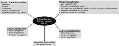 Cardiovascular Involvement in Kawasaki Disease Is Much More Than Mere Coronary Arteritis